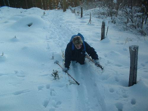 Humpolák na běžkách - leden 2006