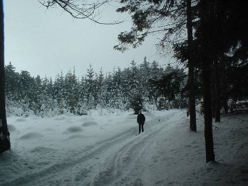 Humpolák na běžkách - leden 2006