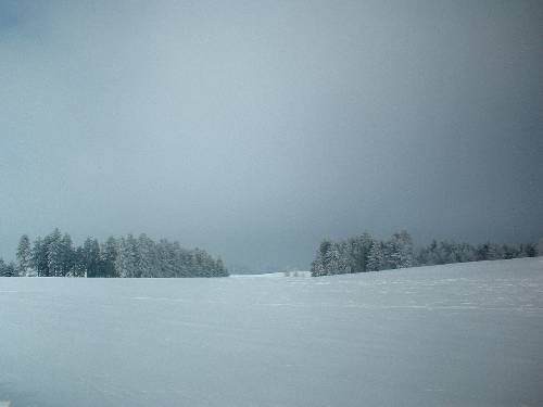 Humpolák na běžkách - leden 2006