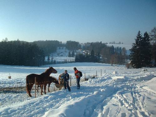 Humpolák na běžkách - leden 2006