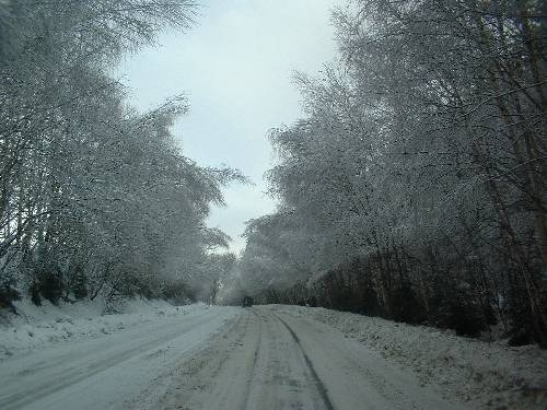 Humpolec & Petrovice - leden 2006