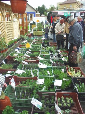 Výstava Zahrada 2007