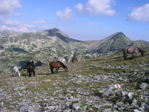 karpaty