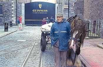 Pokud byste se chtěli o tomto pivu dozvědět něco více, vydejte se do Guinness Storehouse. Jeho součástí je muzeum, ale i bar v nejvyšším patře budovy, kde na vás čeká pinta Guinnesse s trojlístkem, národním znakem Irska,