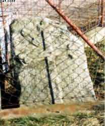 O20.jpg (14503 bytes)