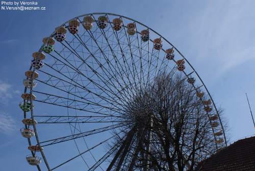 BERNARD se povozil na ruském kole BERNARD se povozil na ruském kole