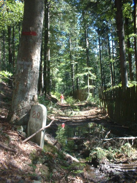 Je to na patníku dvojka nebo otazník? Blair Witch v Šumavském lese.