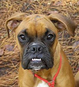 Hledá se Elza Hledá se Elza