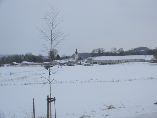 Bílá stopa Humpolec - 16.2.2012 Bílá stopa Humpolec - 16.2.2012