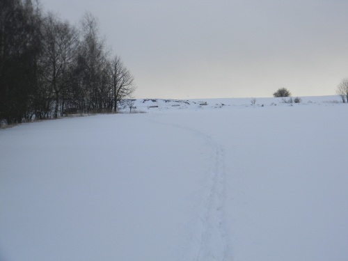 Bílá stopa Humpolec - 16.2.2012 Bílá stopa Humpolec - 16.2.2012