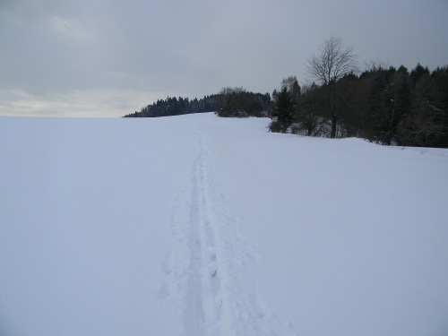 Bílá stopa Humpolec - 16.2.2012 Bílá stopa Humpolec - 16.2.2012