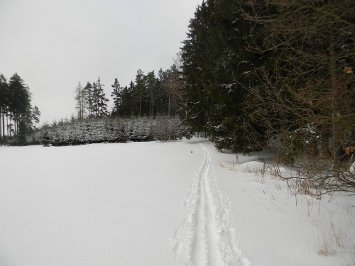 Bílá stopa Humpolec - 16.2.2012 Bílá stopa Humpolec - 16.2.2012