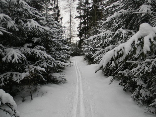 Bílá stopa Humpolec - 16.2.2012 Bílá stopa Humpolec - 16.2.2012