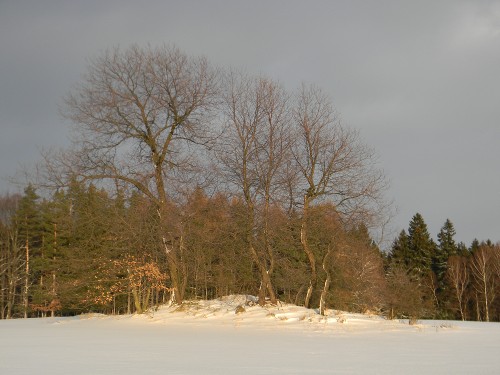 Bílá stopa Humpolec - 16.2.2012 Bílá stopa Humpolec - 16.2.2012