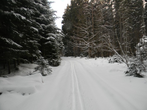 Bílá stopa Humpolec - 16.2.2012 Bílá stopa Humpolec - 16.2.2012