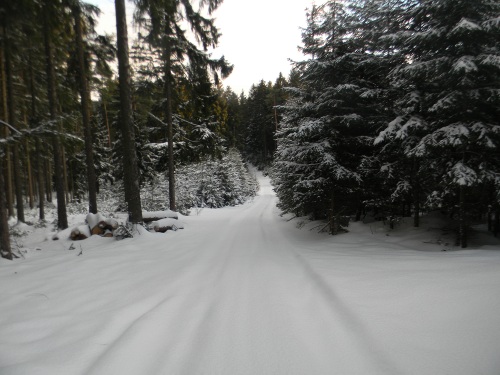Bílá stopa Humpolec - 16.2.2012 Bílá stopa Humpolec - 16.2.2012
