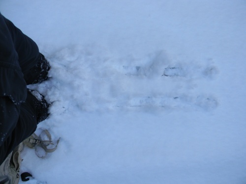 Bílá stopa Humpolec - 16.2.2012 Bílá stopa Humpolec - 16.2.2012