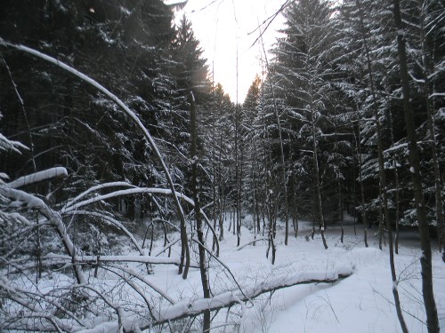 Bílá stopa Humpolec - 16.2.2012 Bílá stopa Humpolec - 16.2.2012