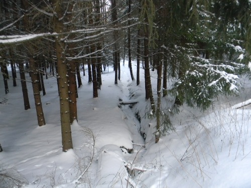 Bílá stopa Humpolec - 16.2.2012 Bílá stopa Humpolec - 16.2.2012