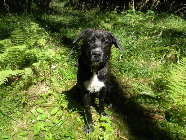 Tip na výlet: Okruh z Kletečné Tip na výlet: Okruh z Kletečné