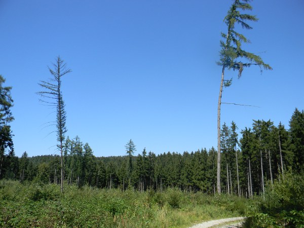 Tip na výlet: Okruh z Kletečné Tip na výlet: Okruh z Kletečné