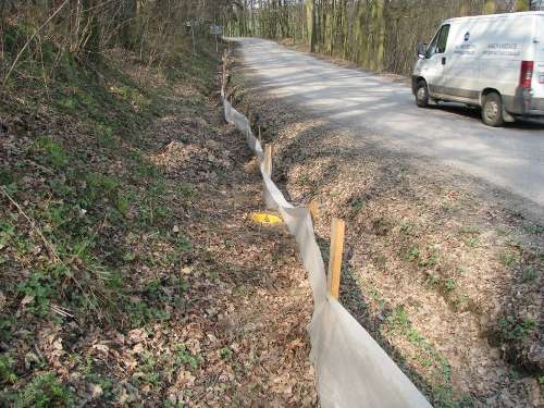 Dejte žábě šanci Dejte žábě šanci