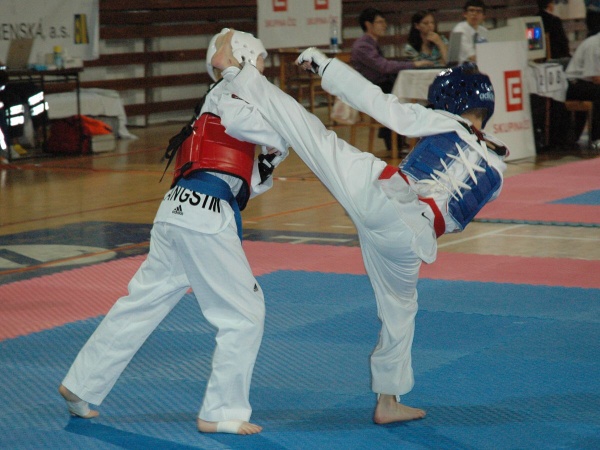 08_TKD08_1.jpg