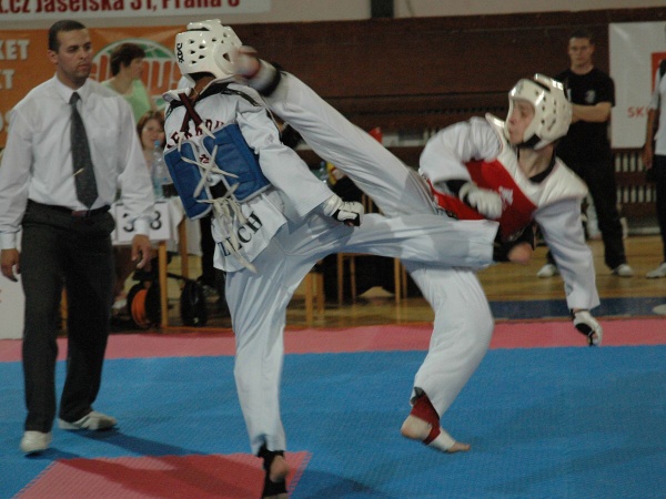 08_TKD08_8.jpg