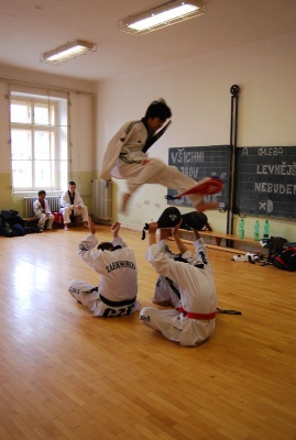 08_TKD6_09.jpg