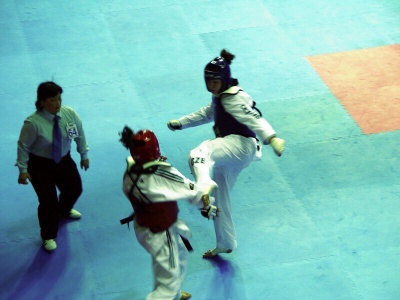 TKD03_3.jpg