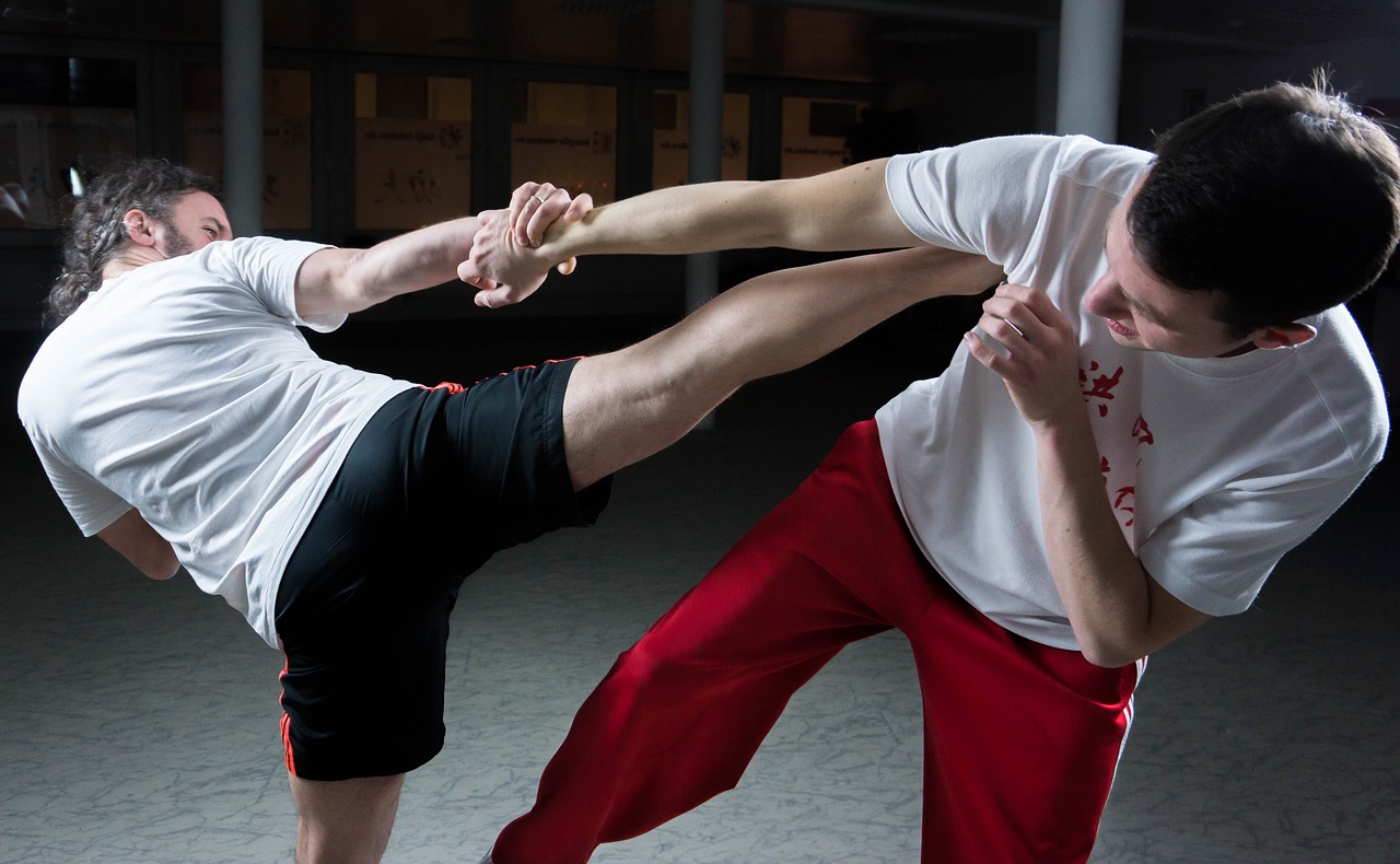 Taekwondo Lacek úspěšní doma i v zahraničí