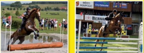 Zlatá podkova