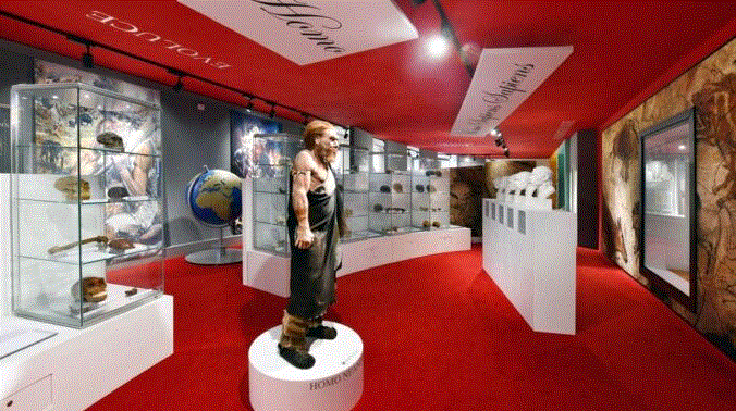 Antropologická expozice v muzeu Aleše Hrdličky v Humpolci. Zdroj: archiv Městského kulturního a informačního střediska v Humpolci