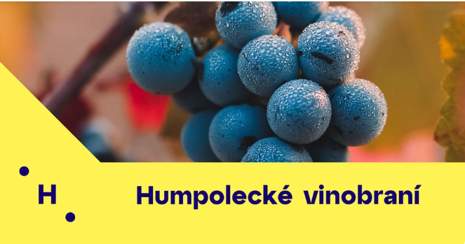 Tipy na víkend z Vysočiny: humpolecké vinobraní, Bítešské hody, trampský večer