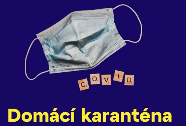 Domácí karanténa