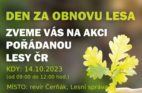 Den za obnovu lesa