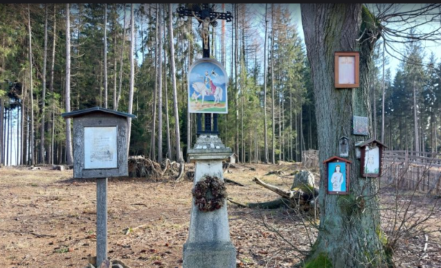 Novinky.cz: U Humpolce vytáhl kůrovec na světlo vzpomínku na středověkou vesnici