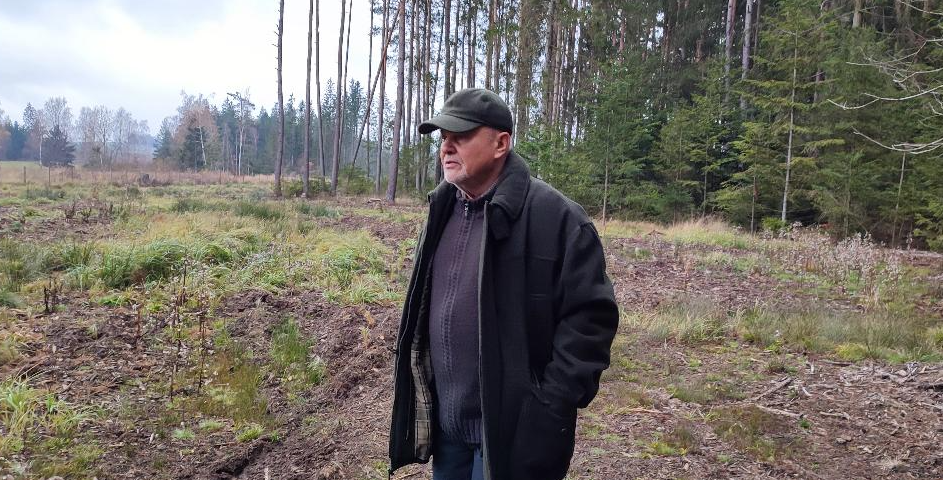 V Česku chybí podpora drobných vlastníků lesa: těch je nejvíce na Vysočině