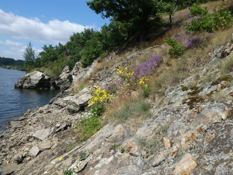Kraj Vysočina vyhlašuje novou přírodní rezervaci Dřínová hora