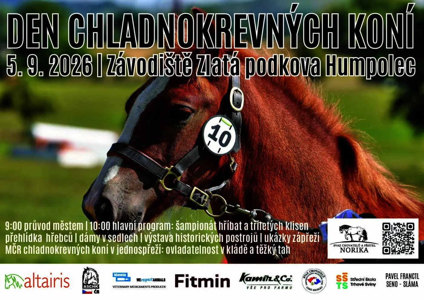 Den chladnokrevných koní